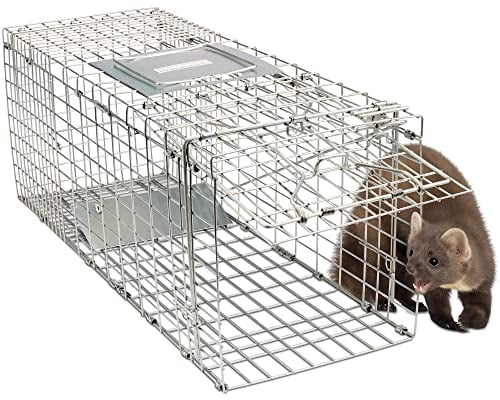 Cat, marten live trap