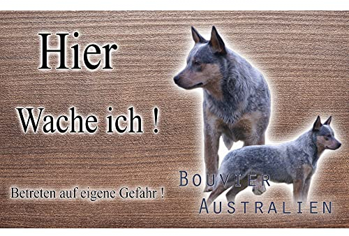 hier wache ich hund Australian Cattle Dog 29/18 cm