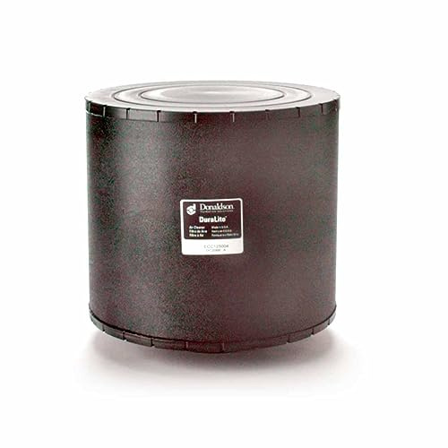 Donaldson C125004 Filter