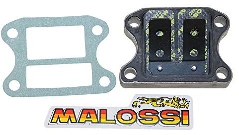 Membranblock Malossi VL9 für Peugeot, Kymco, Honda