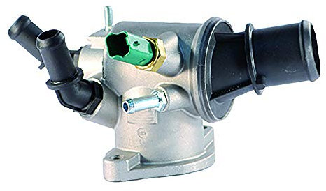 FAE 5349288 Termostato, Refrigerante