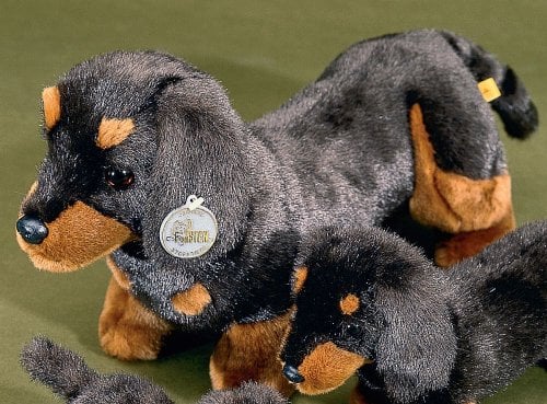 Förster Stofftiere 1560 Kurzhaardackel stehend groß 42cm