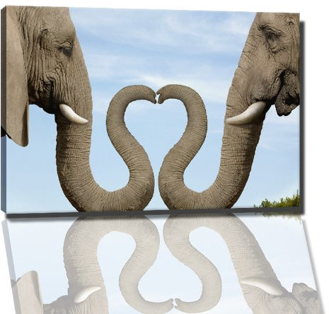 Elefanten Love Bild auf Leinwand -- 60x40 cm fertig gerahmte Kunstdruckbilder als Wandbild - Billiger als Ölbild oder Gemälde - KEIN Poster oder Plakat