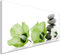 Wallfillers Lime Green Flowers and Grey Pebbles Canvas Wall Art Print - 1070-118x49cm