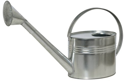 Siena Garden Gießkanne 7L, mit Brause, Blumengießer, verzinkt, 395238