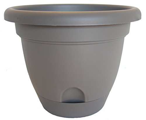 Bloem LP0860 Living Lucca Self-Watering Planter, 8, Peppercorn