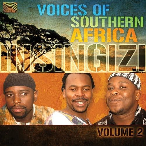 V 2: Voices Of Southern Africa