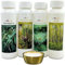 Well2wellness ® Set Esencias Sauna 4 X 125ML 'Clásico 3' con Eucalipto, Picea , Pino Carrasco, Abedul + Gratis 10g Mentol