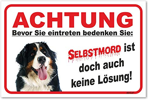 AdriLeo Schild - Vorsicht Berner Sennenhund - Selbstmord - (20x30cm) / Achtung Hund Wachhund robust langlebig UV-beständig wetterfestes Warnschild