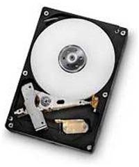HGST Deskstar 7K1000.D 3.5 500 GB Serial ATA III Disco Duro - Disco Duro (3.5, 500 GB, 7200 RPM)