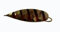 Jaxon Ares Weedless Spoon Bait - Gold, 20 g