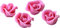 Mallard Ferriere ROSES en Pâte d'Amande rose P/35