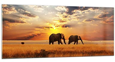 Deco Salon Les éléphants Safari jungle buisson Moderne Impression sur Verre 120x50cm Image Tableau en Verre Decoration Murale Chambre Panoramique Art Grand Tableaux Decoratifs Muraux GAB120x50-3150
