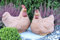 STEINFIGUREN SPICKER Steinfigur Huhn, Henne, Hahn 2er Set 135/3, 180/3 Gartenfigur Steinguss Tierfigur Terrakaotta Patina