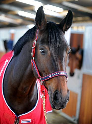John Whitaker Halfter rot rot Cob