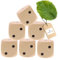 5X HOFMEISTER® Würfel aus Holz, 4 x 4 cm, für Kinder oder zum Spielen, 100% europäisches Naturprodukt, aus heimischem Buchen-Holz, mit Augenzahlen