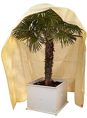 NOOR Premium Winterschutz-Haube PRO XXXL 200 x 300 cm mit Reißverschluss & Zugband I Frostschutzhaube für Pflanzen I Winterschutz für Pflanzen Überwinterung I Pflanzenvlies/Winterschutzvlies I Beige