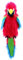 The Puppet Company - Large Birds - Amazon Macaw, Multi-colored, 45 centimeters