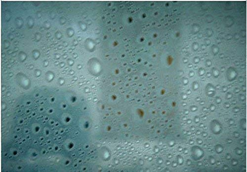TipTopCarbon 6,57€/m² Fenster Sichtschutzfolie Milchglasfolie Rain Design 152cm Breite Fensterfolie Design Dekofolie Folie Selbstklebend