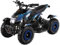 Actionbikes Motors Kinder Quad Elektro ATV Cobra | 𝟑𝟔 Volt 𝟖𝟎𝟎 Watt Motor bis 𝟑𝟎 km/h - Kinderquad - Pocket Quad - Safety Touch Fußschalter - Miniquad - Für Kinder ab 6 Jahren (Schwarz/Blau)