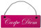 Deko Shabby Chic Schild Carpe Diem in pink Vintage Holz Türschild mit Draht