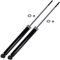 BESTPRICE 2x amortisseurs à gaz arrière jambe de suspension, Compatible avec BMW Série 3 (E46), 3 Cabriolet (E46), 3 Compact (E46), 3 Coupe (E46), 3 Touring (E46)