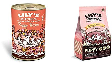 Lily's Kitchen Puppy Wet & Dry Food Bundle Chicken and Salmon (1kg and 6x400g)