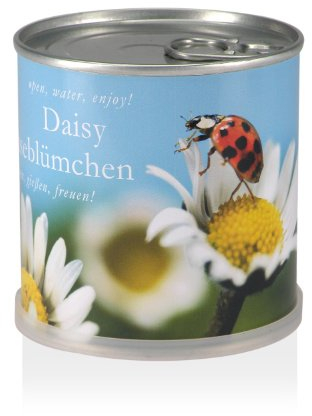 MacFlowers | Kleines Anzuchtset mit Gänseblümchen | Design Marienkäfer | Geschenk Set mit Einer Sorte Samen in süßer instant Blumendose