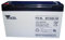 Batteries - Rechargeable - BATTERY LEAD ACID 6V 12AH - Y12-6L