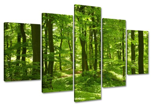Visario Leinwandbilder 6411 Bild auf Leinwand grüner Wald fertig gerahmt, 5-teilig, 100 cm