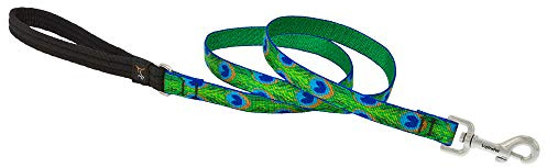 3/4 Tail Feathers 6' Leash