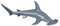 Collecta - Col88045 - Requin Marteau Halicorne - Taille M