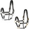 Harry's Horse Halster Leder, zwart met bies, Farbe:Gold, Größe:cob