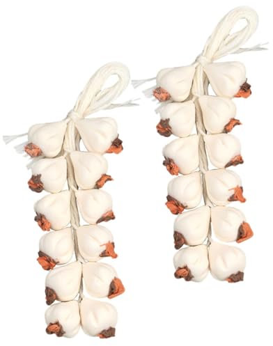 Hohopeti Realistic Miniature Garlic Decor Doll House Vegetable Resin Handmade Models