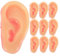 Warmhm 10 Stück Tricky Ear Toys Fake Ear Prop Falsches Ohr Streichohr Narrentag Trick Prop Fake Ear Modelle Tricky Prop Fake Ear Decor Simulation Ohr Cosplay Ohr Requisiten