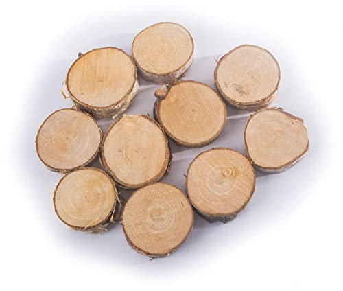 WooDeeDoo Extra Small Wooden Slices Log Tree Bark Ø 3-4 cm | Pack of 10 | Unfinished Round Blank Pieces Art & Crafts Discs Circles DIY Decoration