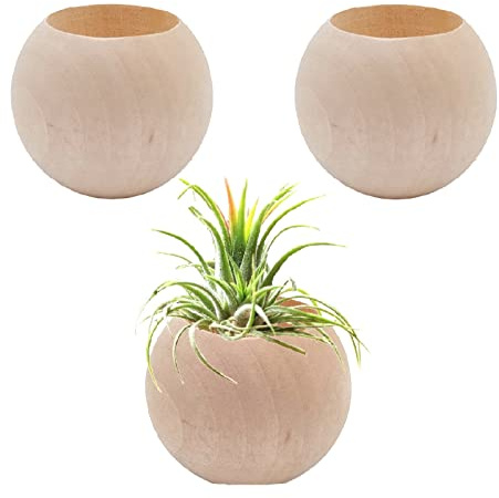 Nwsrayu 3 pcs Wood Air Plant Holder Air Plant Pots Air Plants Display Containers Table Centerpiece Succulent Plants Pot for Home Office Tabletop Decor