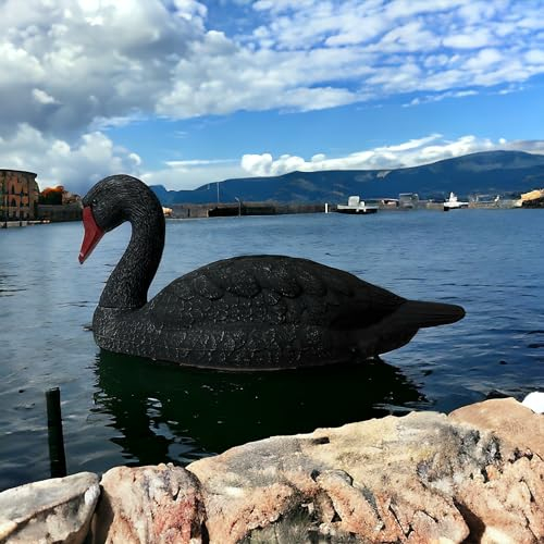 GMM Gartendekorationen, Gartenstatuen, Gartenfiguren, Ziergartenstatuen, Verschiedene Modelle (Schwarzer Schwan)