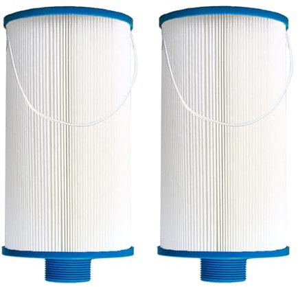 YANHUA Filtro de spa de repuesto para Watkins 303279. Filbur FC-2402, PFF42TC-P4, AquaTerra Hot filtro de bañera, rosca fina MPT de 1/2, fácil de limpiar (2 unidades)