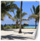 Feeby Fototapete XXL Ozean Strand Palmen 200x200 cm Blau Vliestapete Moderne Design Wandtapete Küche Flur Wohnzimmer Büro Badezimmer Kinderzimmer Tropische Insel