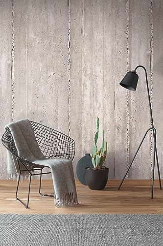 Newroom Vliestapete [ 2,8 x 1,59m ] großzügiges Motiv - kein wiederkehrendes Muster - nahtlos große Flächen möglich - Fototapete Stein Beton Putz Made in Germany