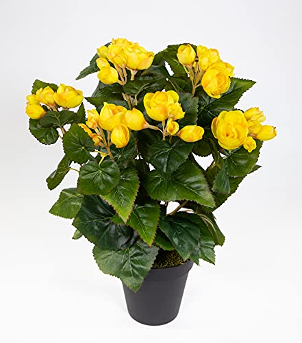 Seidenblumen Roß Begonie 38cm gelb im Topf LM Kunstpflanzen Kunstblumen künstliche Blumen Pflanzen Begonienbusch