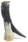 Large Natural Viking Usable Drinking Horn & Stand - Reenactment Oxhorn by Abbeyhorn