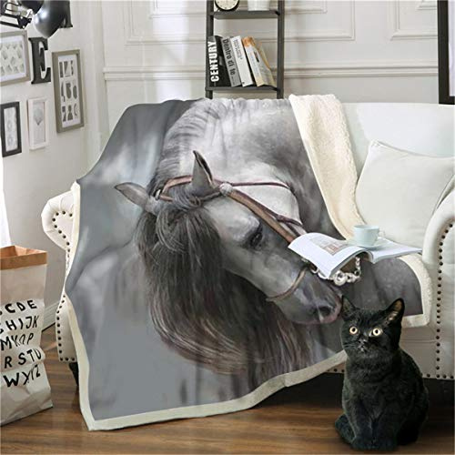 Oduo Kuscheldecke Mikrofaser Sherpa Fleecedecke Super Weich Dicke Wohnzimmerdecke Tagesdecke Sofadecke Decke für Couch und Bett TV-Decke Reise Camping (Bogenpferd,110x140cm)