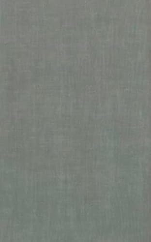 染の安坊 Anbo Tenugui Handtuch, einfarbig, 100 % Baumwolle, hergestellt in Japan, 35,1 x 100,1 cm, Hellgrün / Grau