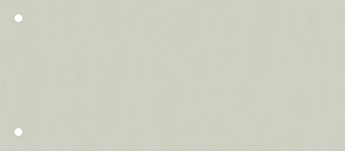 Brunnen 106604080 Trennstreifen (10,5 x 24 cm quer, aus Karton, gelocht, 100 Trennstreifen) grau