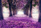 decomonkey Fototapete selbstklebend Wald Blumen 245x175 cm Selbstklebende Tapeten Wand Fototapeten Tapete Wandtapete klebend Klebefolie Natur Landschaft violett