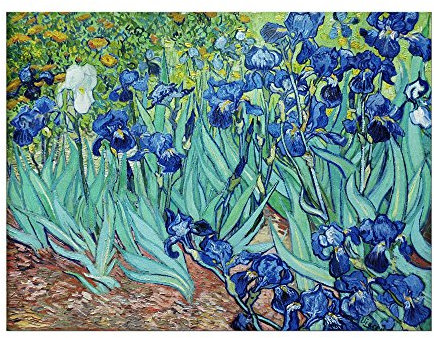 Kunstdruck Poster - Vincent van Gogh Iris 60x40 cm ca. A2 - Alte Meister Bild ohne Rahmen