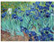 Kunstdruck Poster - Vincent van Gogh Iris 60x40 cm ca. A2 - Alte Meister Bild ohne Rahmen