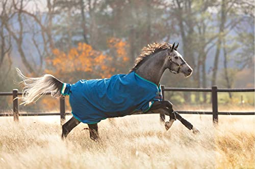 Horseware Ireland Rhino Original Pferdedecke (0 g Lite), Größe: 84, Farbe: Marineblau (Grau/Aqua Trim)